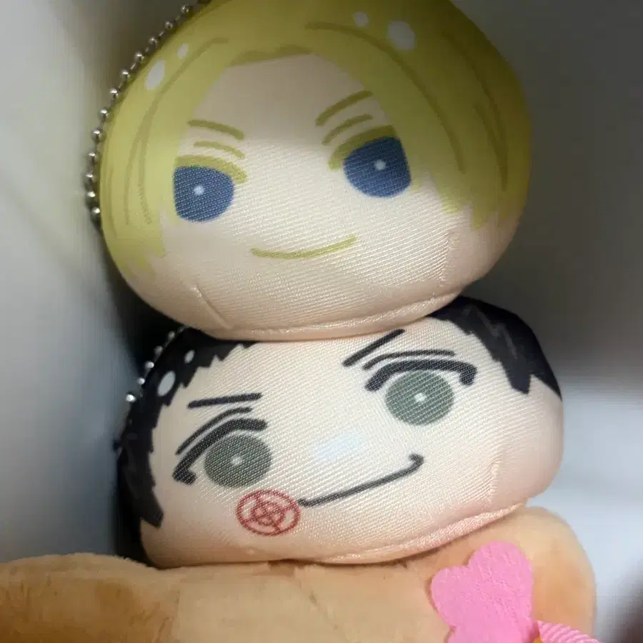 사카모토데이즈 만쥬 아사쿠라 신, 마시모 헤이스케 일괄