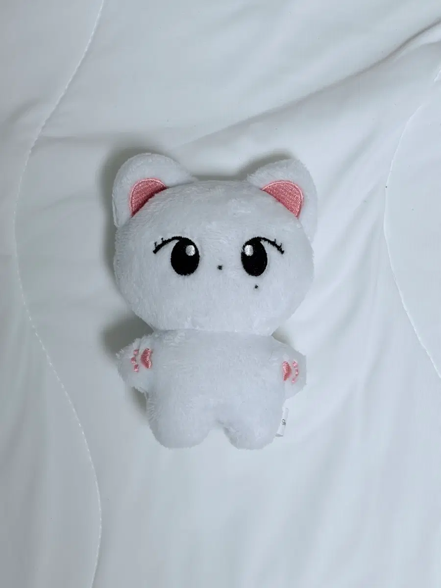 아이브 리즈 인형 냥즈