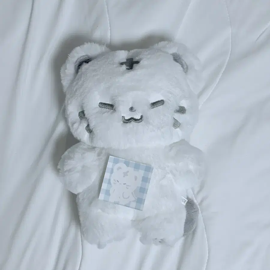 호시 세븐틴 인형 호찌 왕호찌 20cm (오늘만18000원