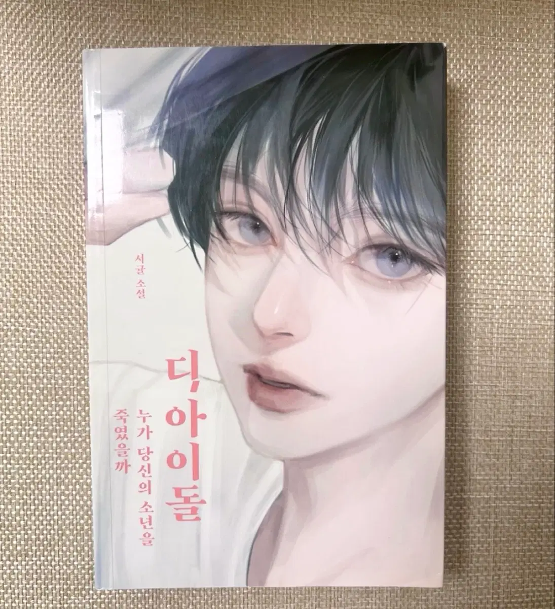 디 아이돌 소설책