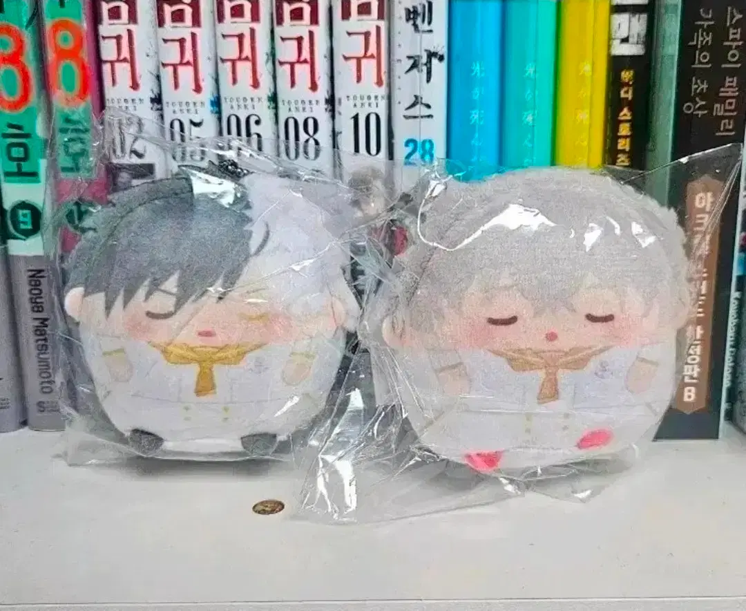 [일괄] 윈드브레이커 (윈브레) 사쿠라, 쵸지 쿠지 후와코로링 일괄 판매