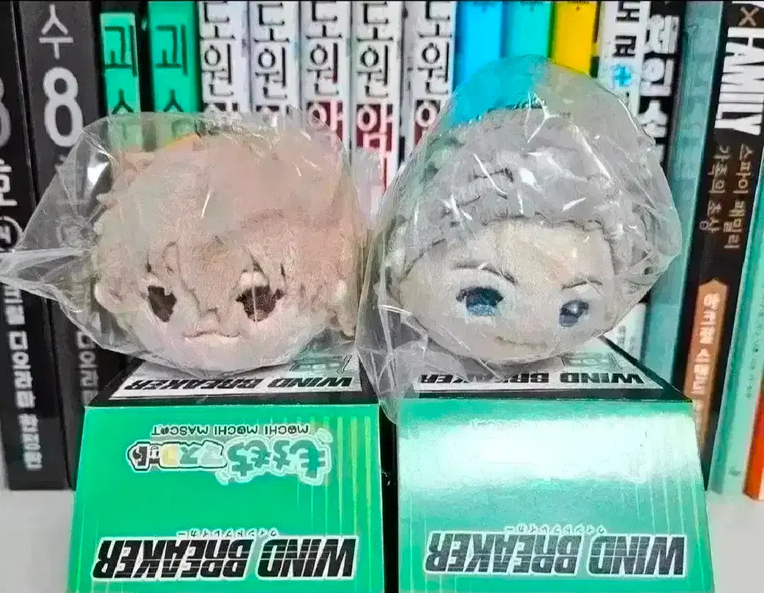 [일괄] 윈드브레이커 (윈브레) 쵸지, 우메미야 모찌 일괄 판매