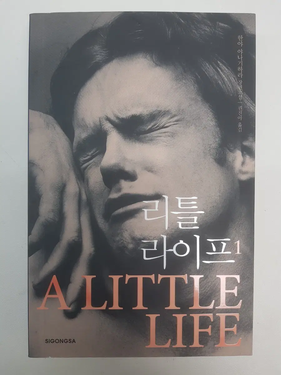 리틀라이프