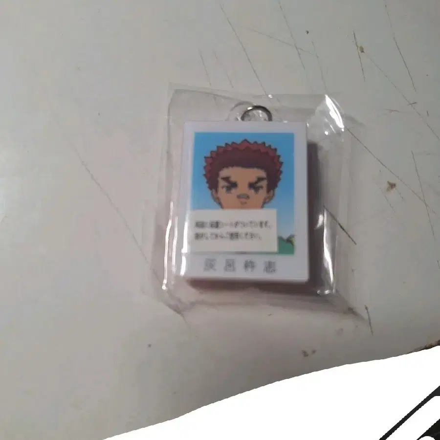 사쿠재 하이로 증사