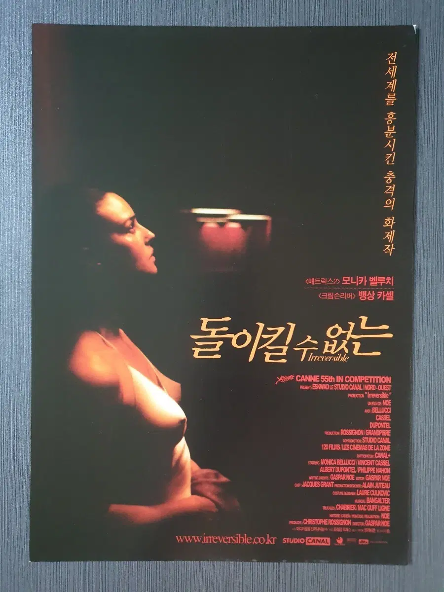 돌이킬 수 없는 영화 전단지 팜플렛 A4 모니카 벨루치