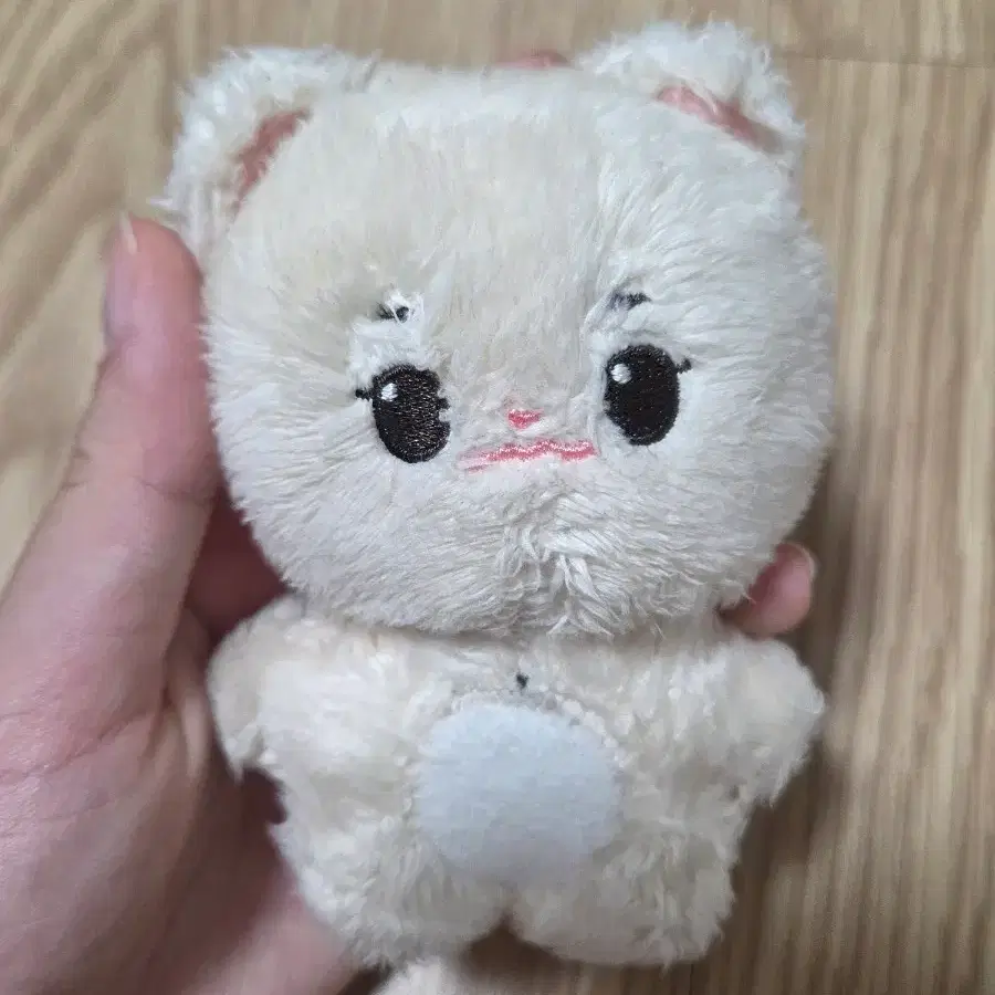 안땅콩