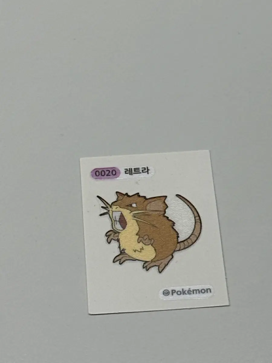 레트라 띠부씰