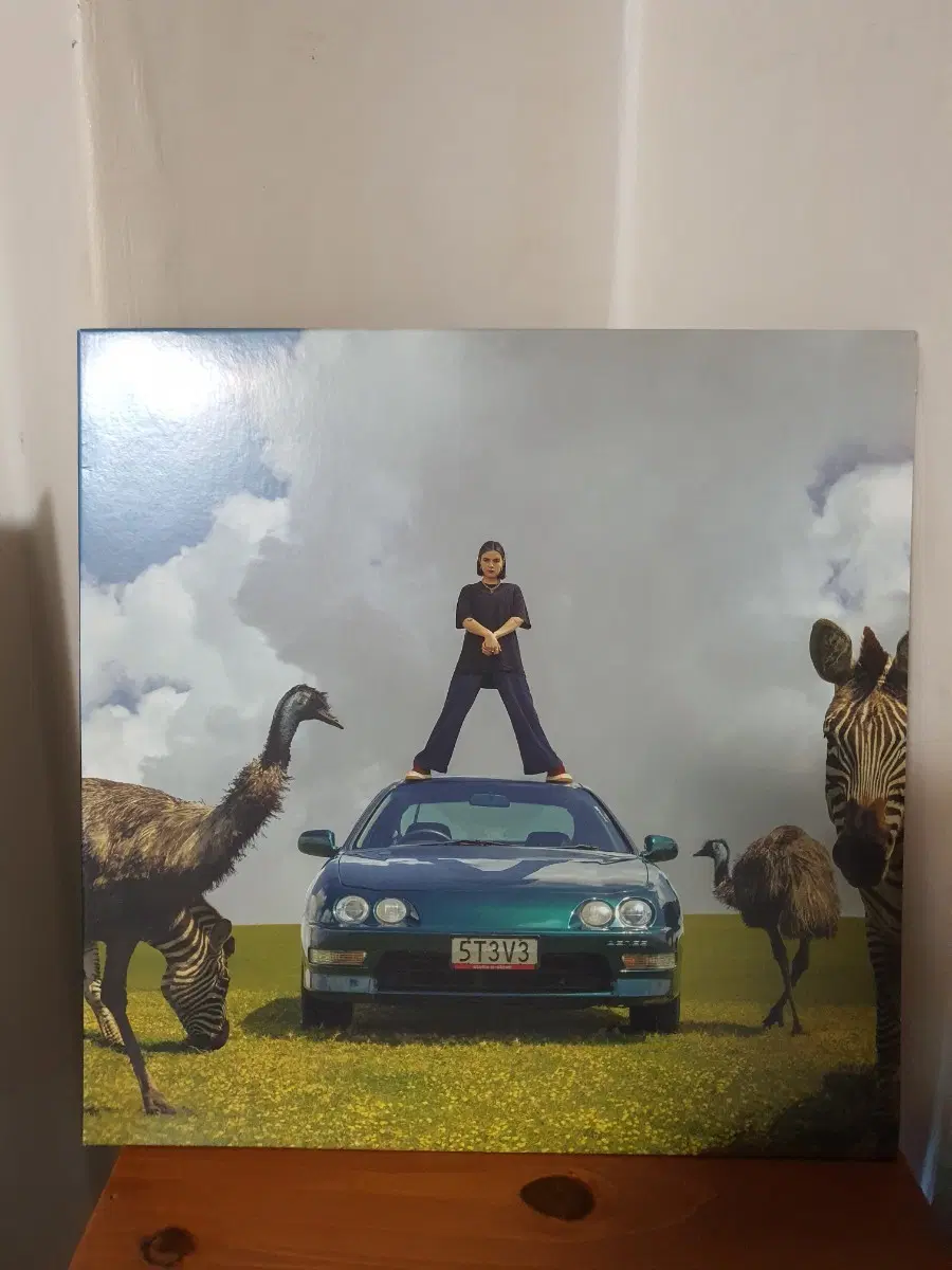 베니 BENEE LP 음반