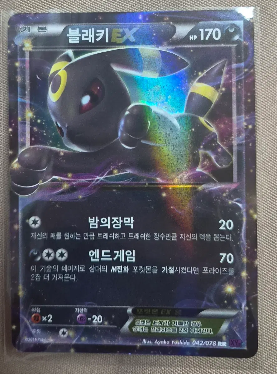 포켓몬 카드 블래키 EX (xy)