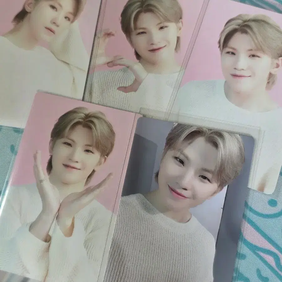 세븐틴 우지 셉카페 트레카 일괄