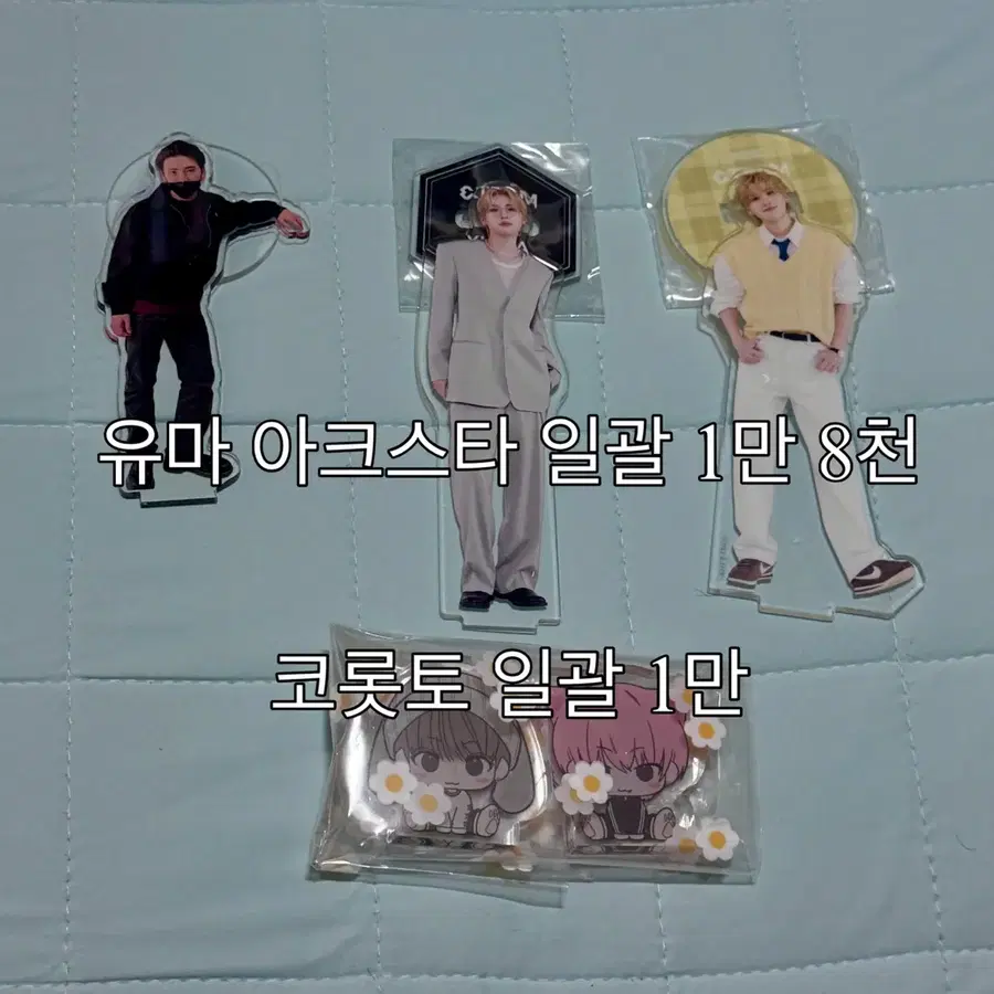 앤팀 유마 하루아 아크스타 코롯토 판매