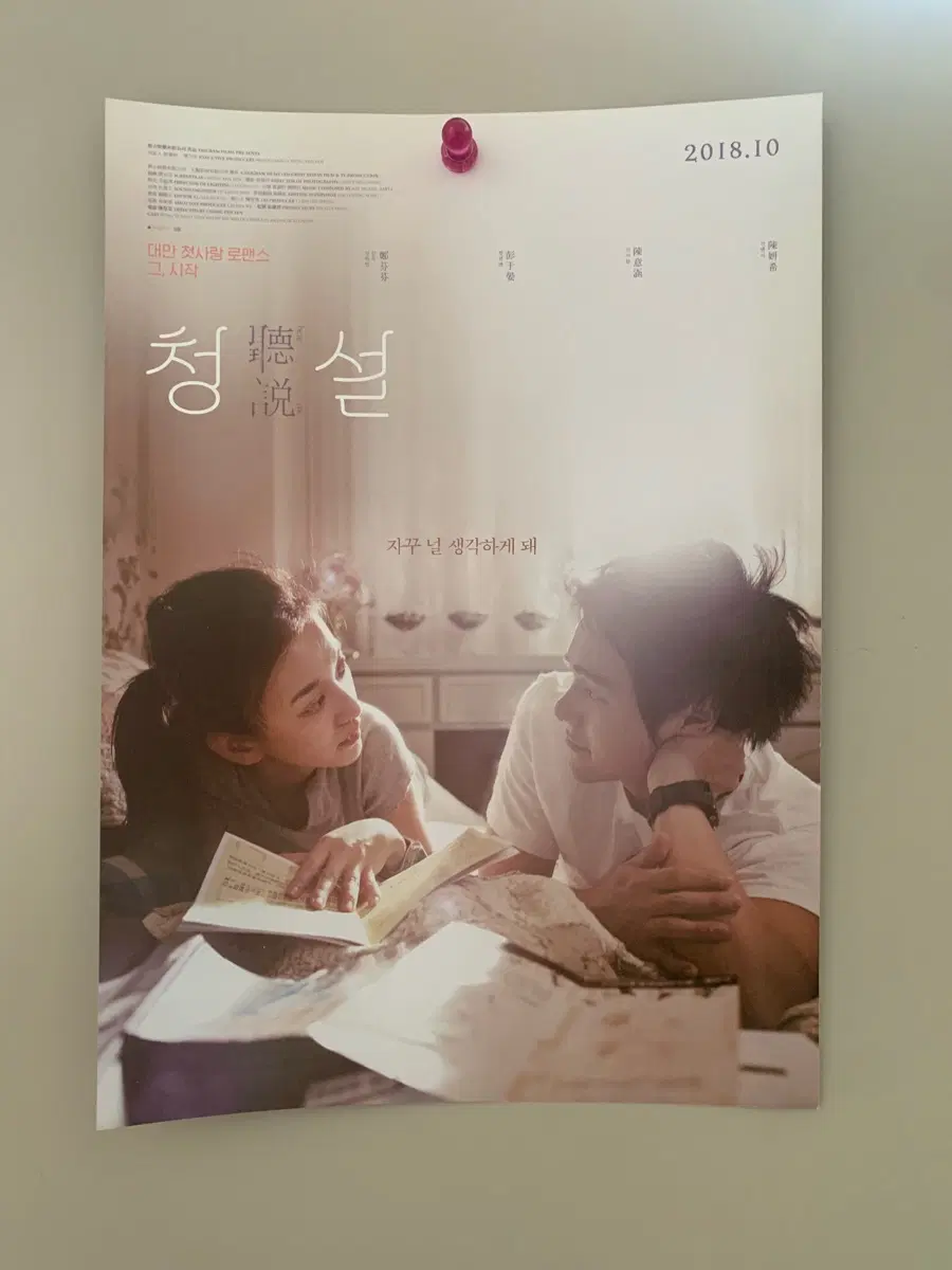 영화 포스터/팜플렛/전단지 청설