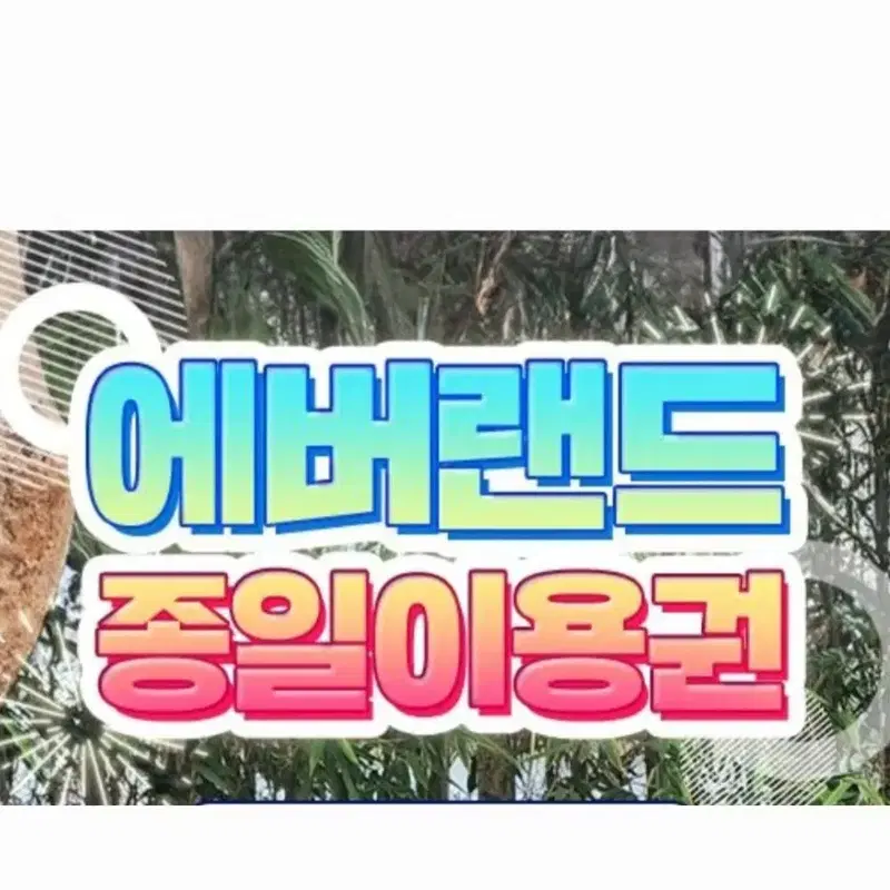 에버랜드 종일 자유이용권(모바일), 즉시사용 가능