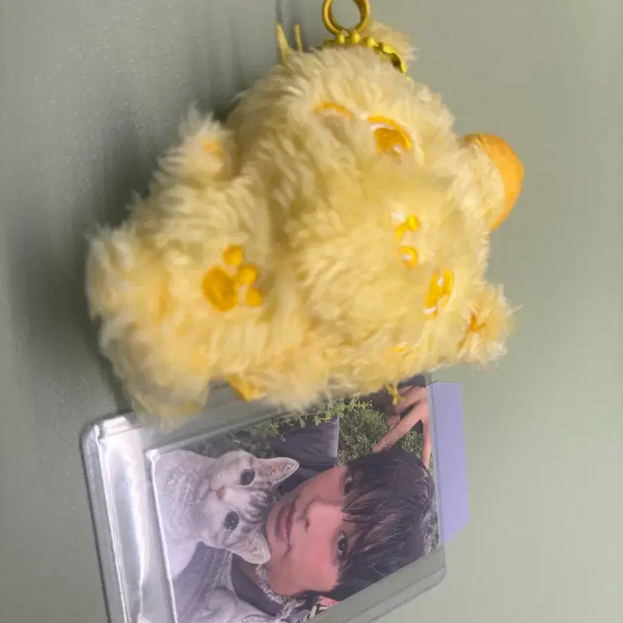 노랑쿠리 엔시티위시 판매