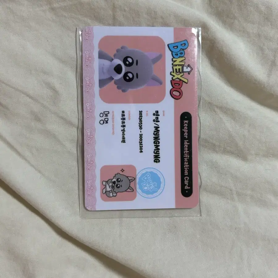 보이넥스트도어 명명이 카드