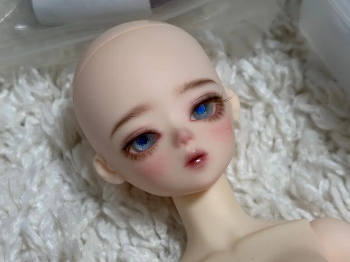 블루페어리 패트릭 뷰티화이트+물품 일괄