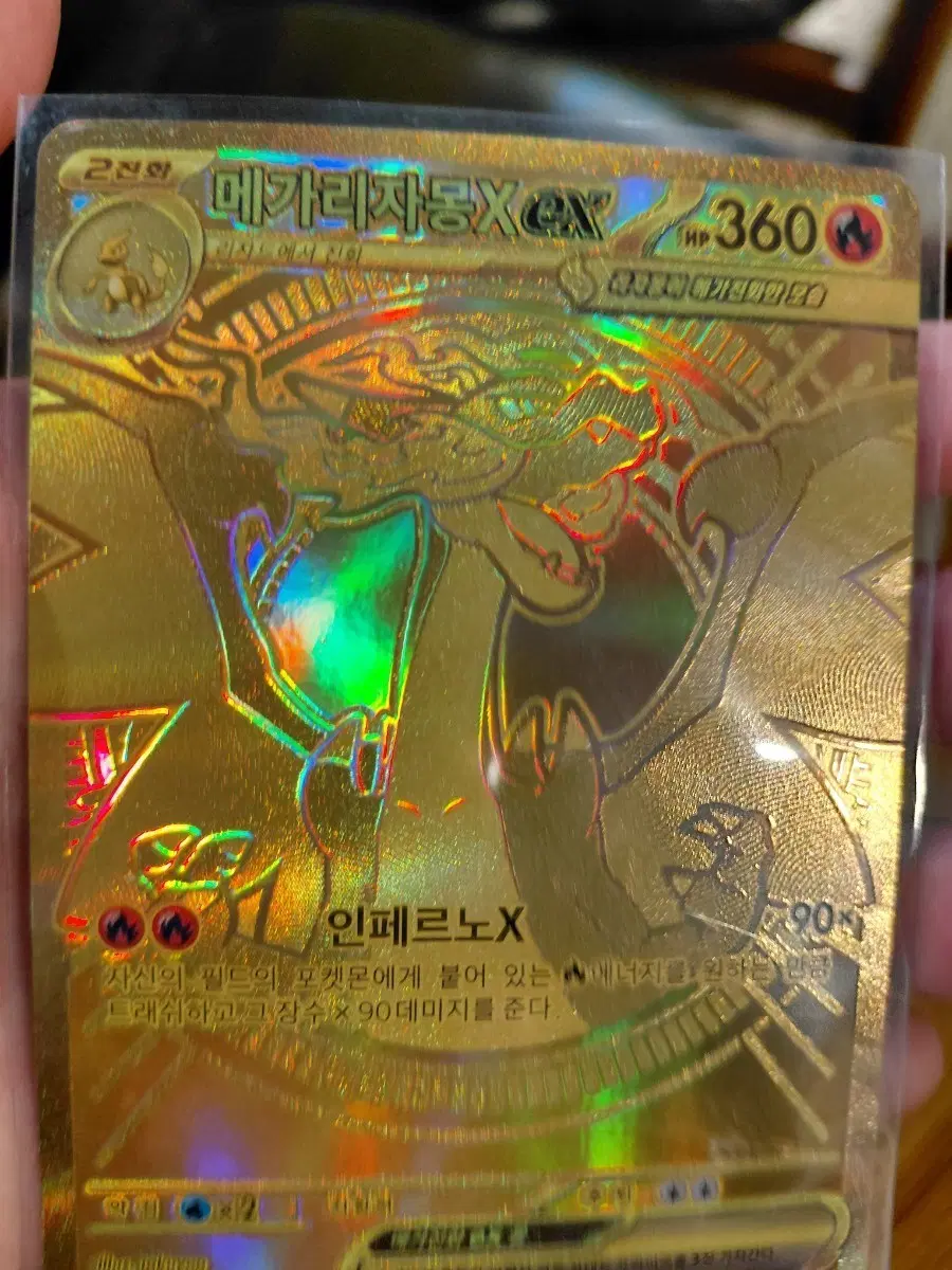 메가리자몽x ex