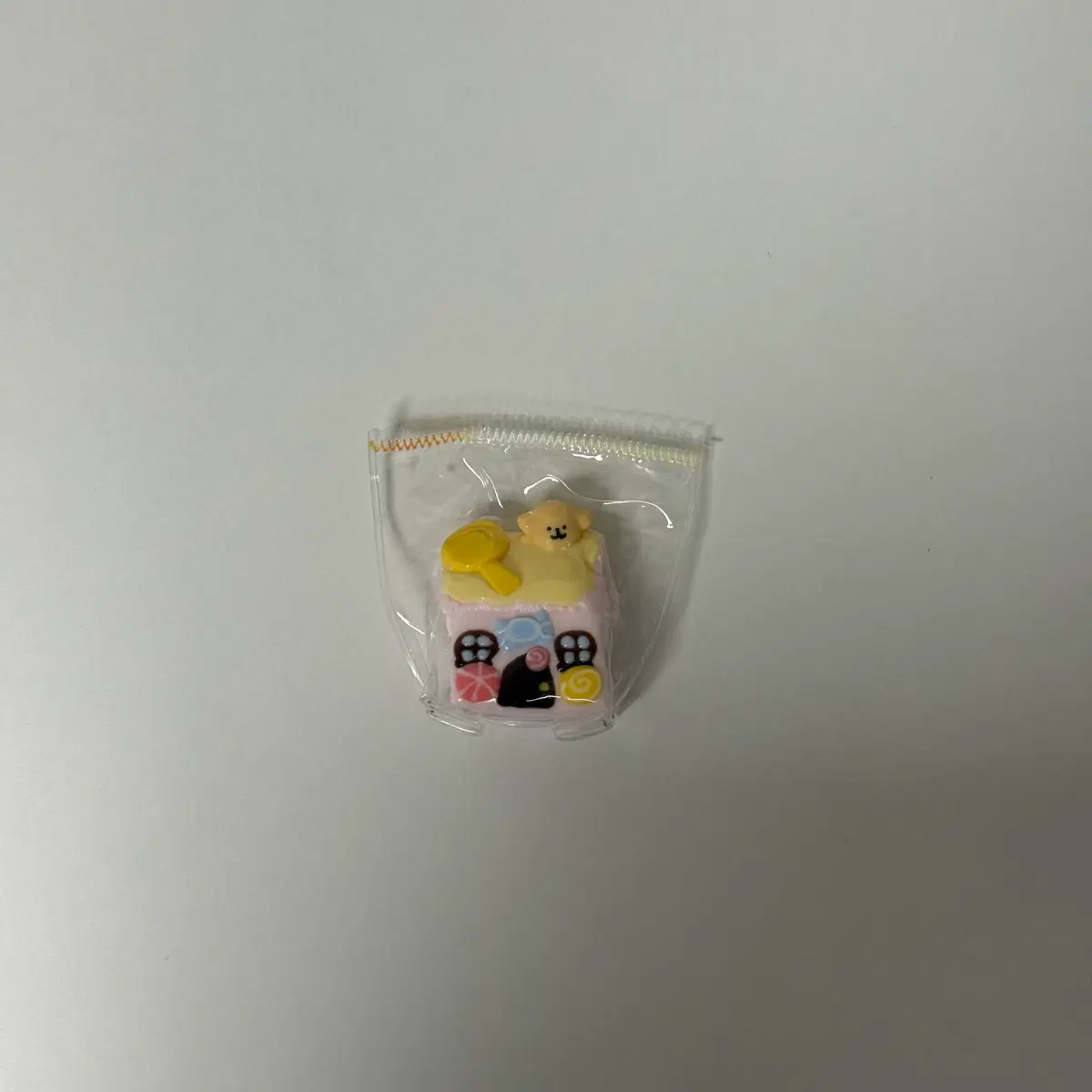 몰티즈 말랑이
