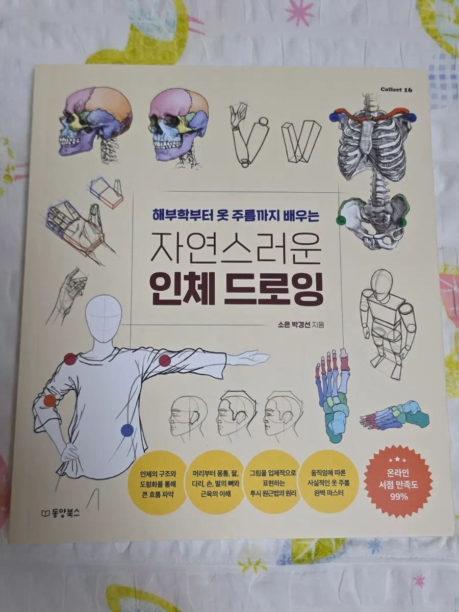 자연스러운 인체드로잉 책