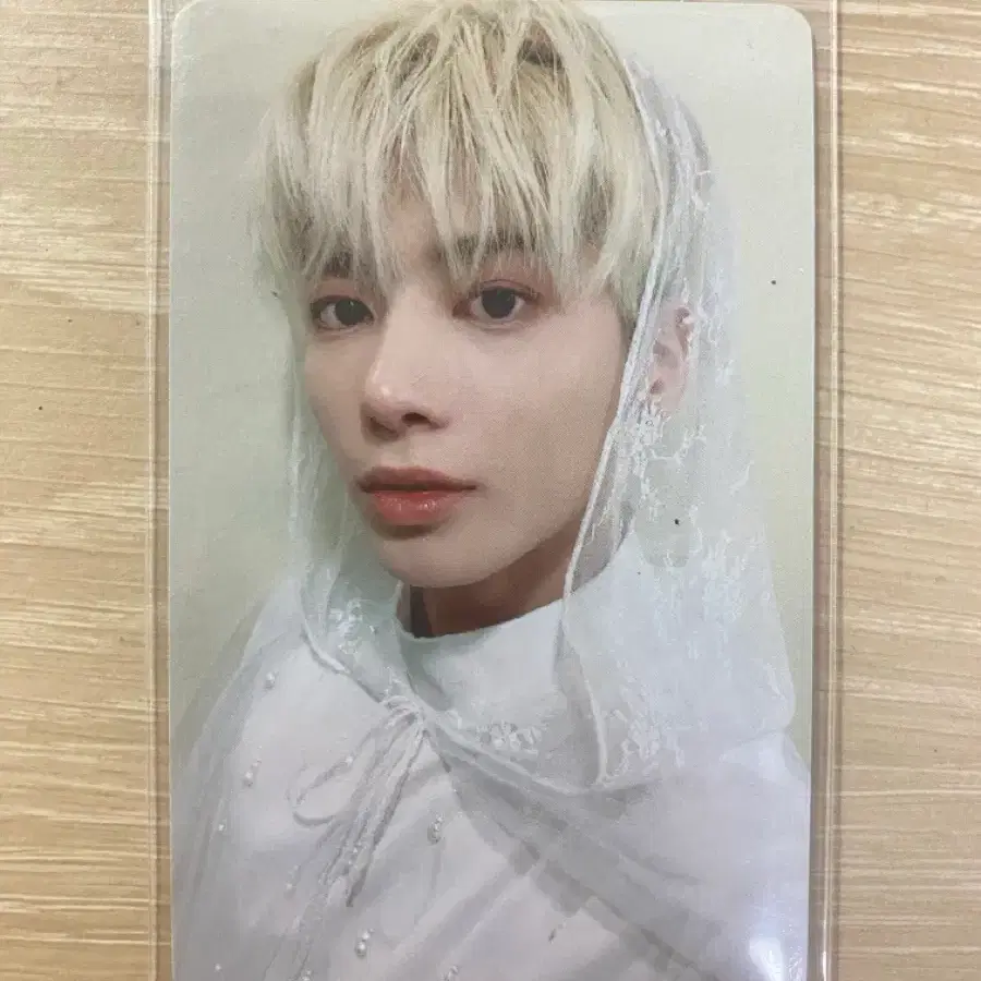 폭덤)) 샤바투 태현