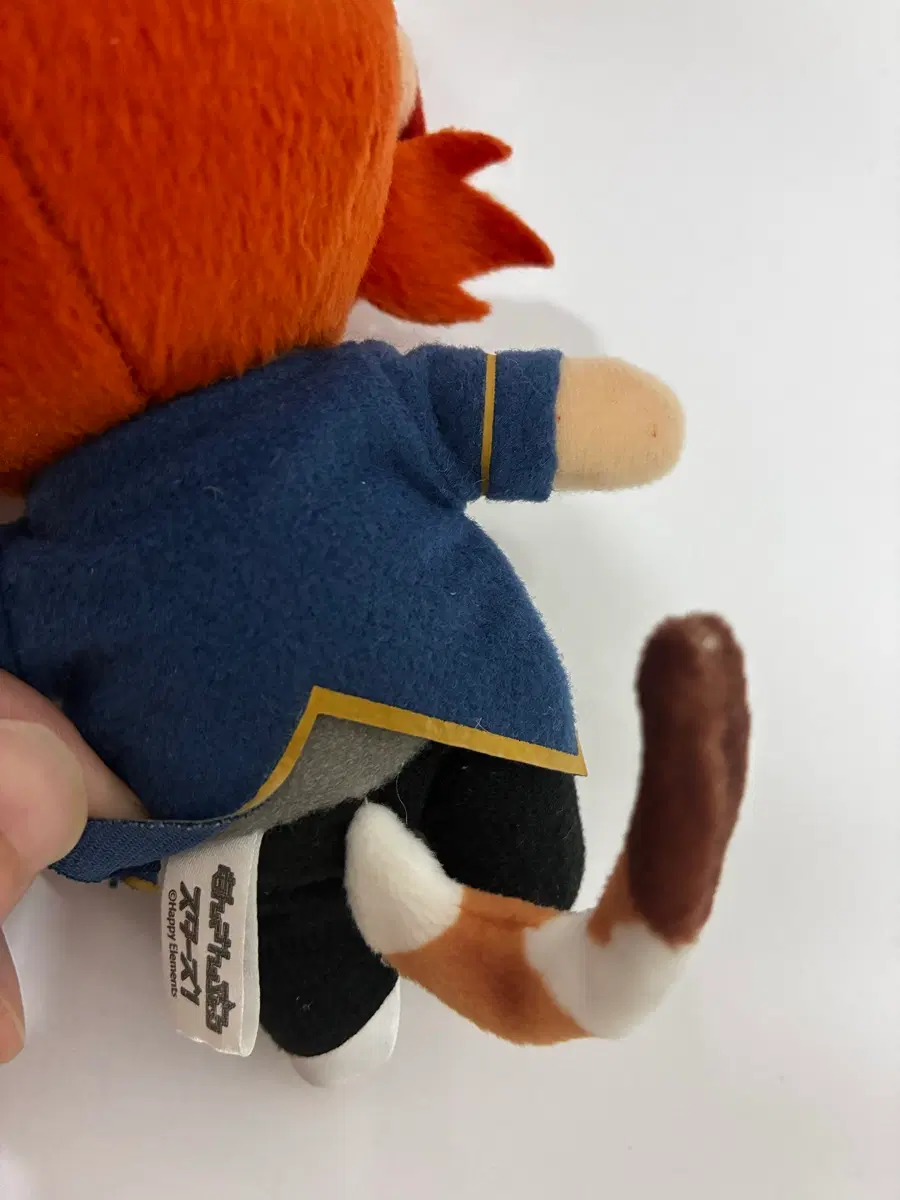 앙스타 츠키나가레오 냔자타운 누이