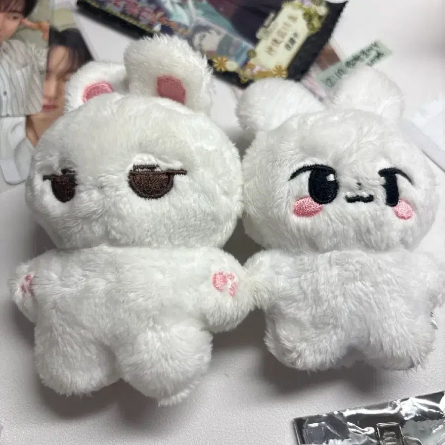 스트레이키즈 스키즈 리노 뽀리 베리
