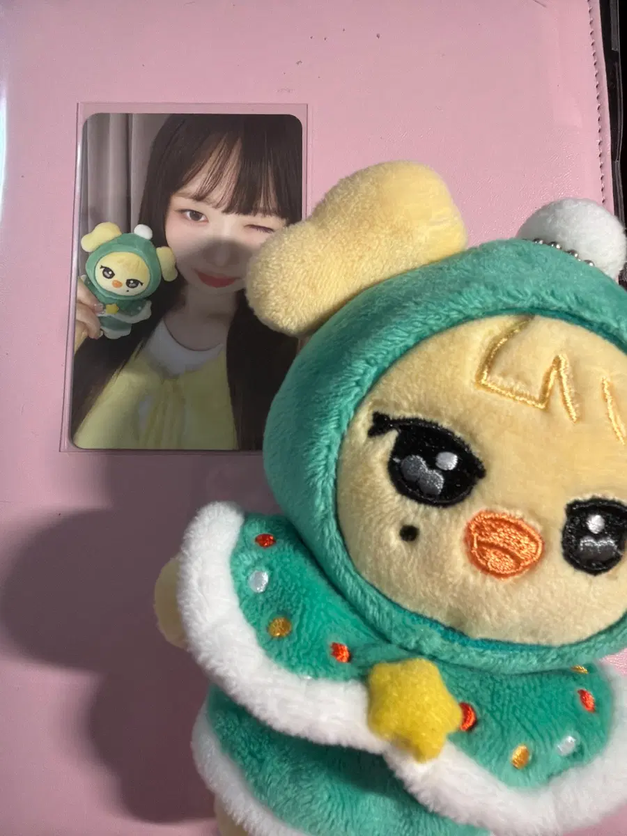 크리스마스 나오리 포카/인형