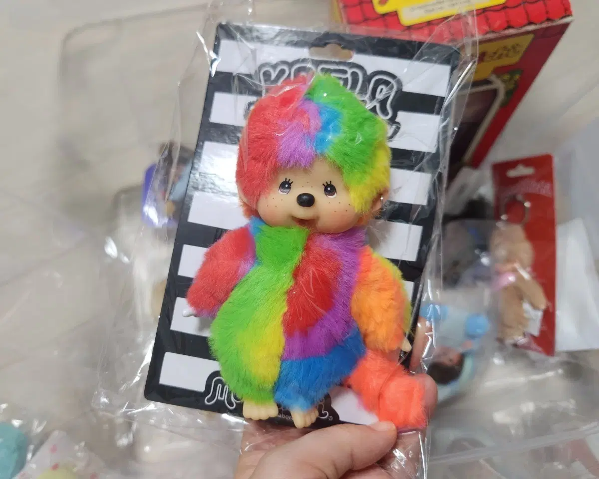 기무라 카에라 몬치치