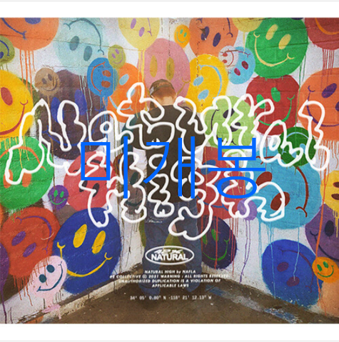 [미개봉] 나플라 (Nafla) - Natural High (CD)