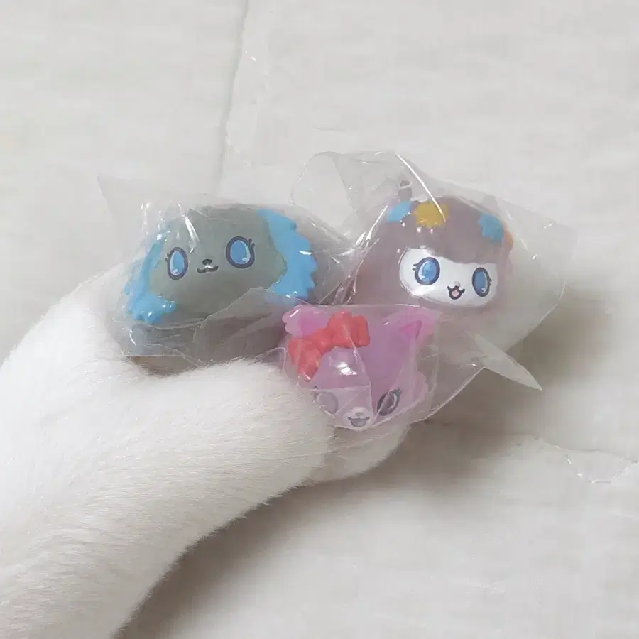 쥬얼펫 트윙클 반지 클리어링 가챠