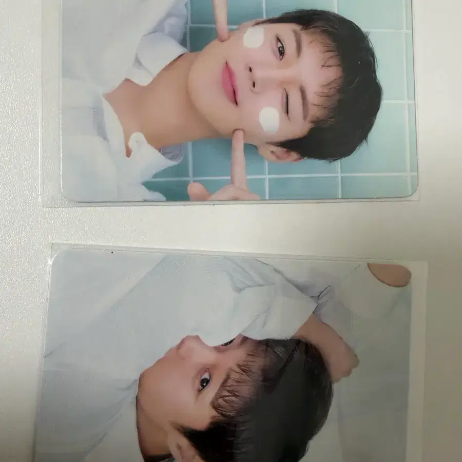 박지훈 메이크프렘 포카 2종