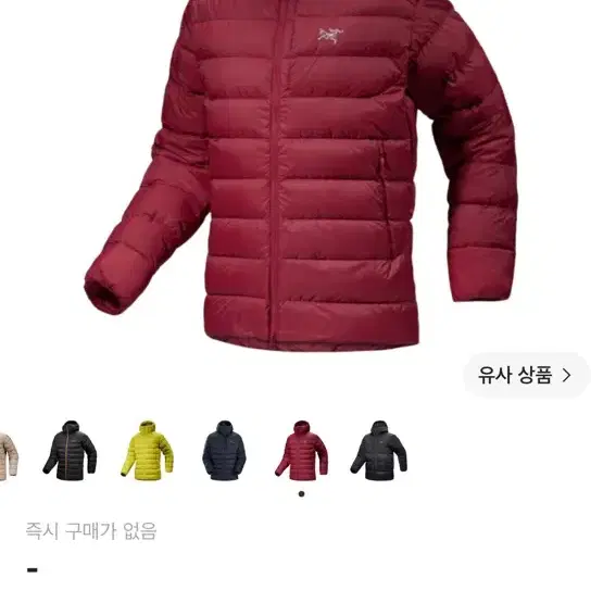 아크테릭스 토륨 후디 패딩 보르도