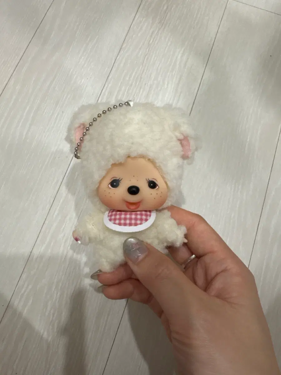 대두 메루 몬치치