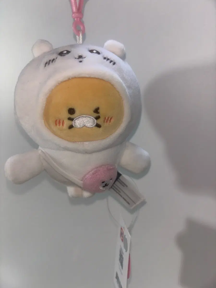 치이카와 춘식이