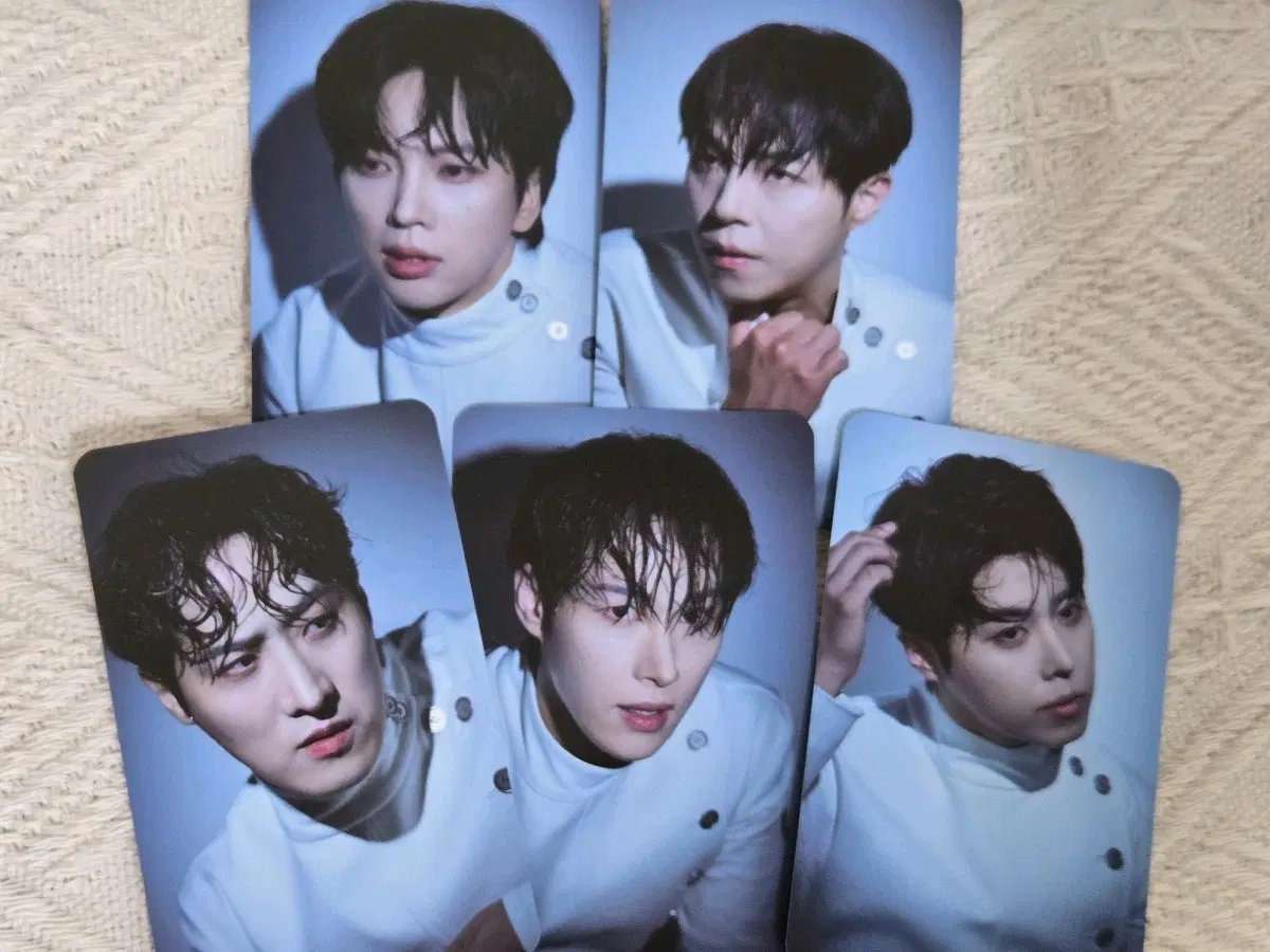 뮤지컬 비더슈탄트 포토카드 최석진 박정원 김도현 조모세 김태환