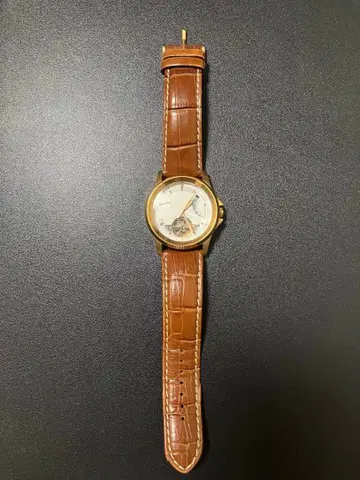 Furbo F5012 자동 와인딩 손목시계