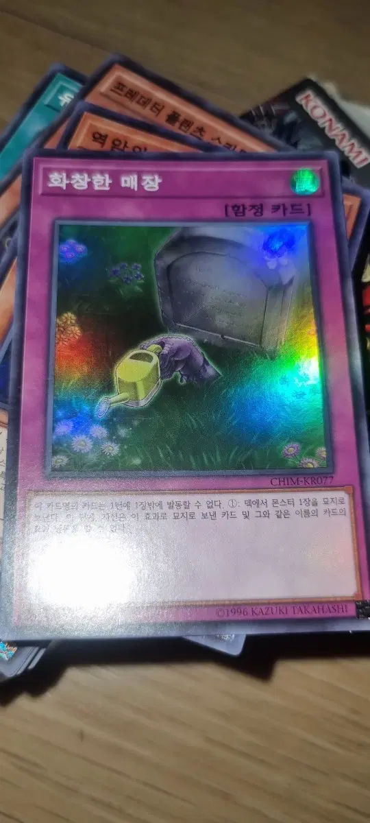 화창한 매장 CHIM-KR077