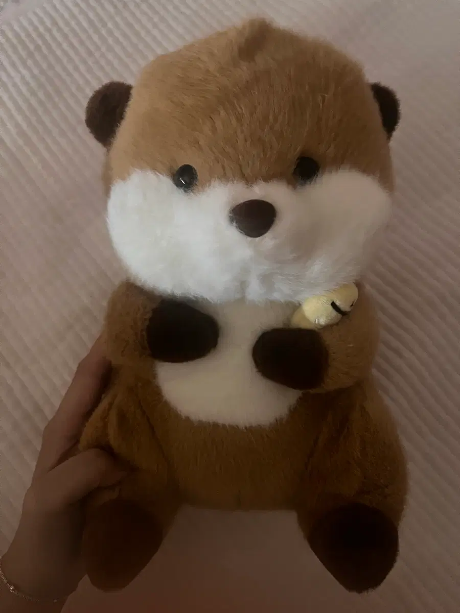 수달인형 팝니다