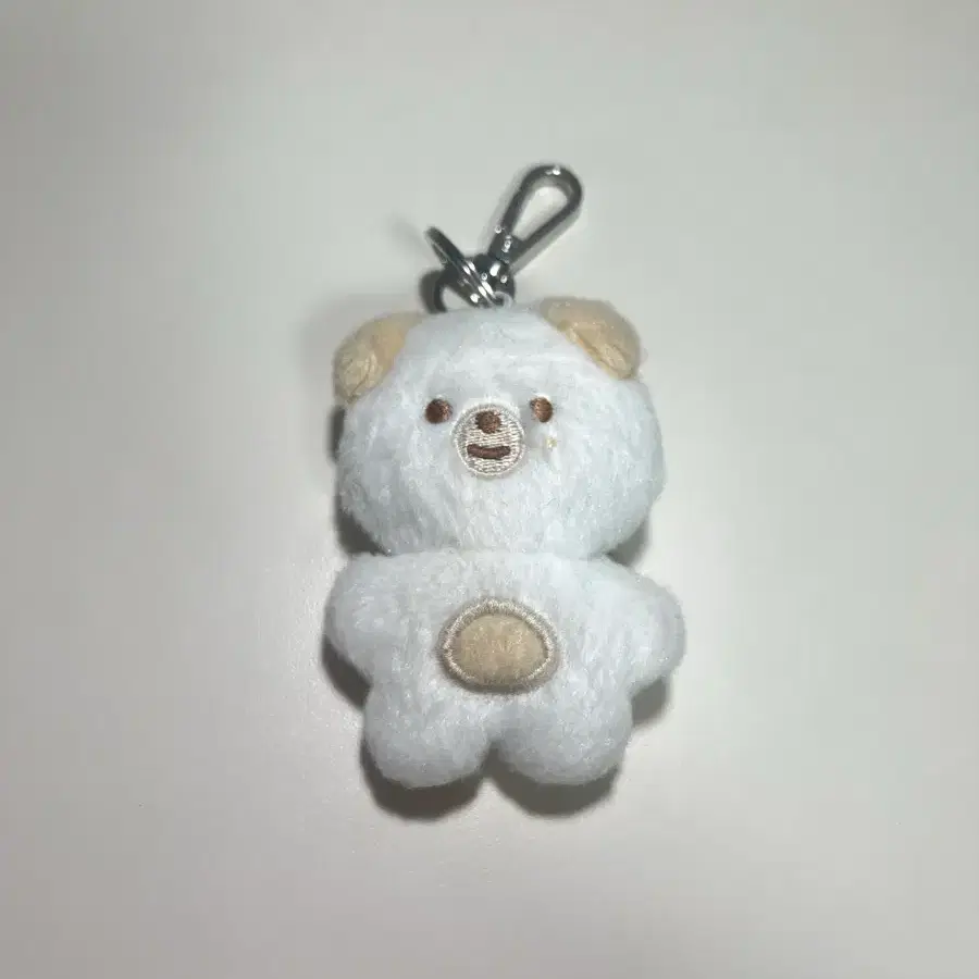 데이식스 쁘쁘멀 돈