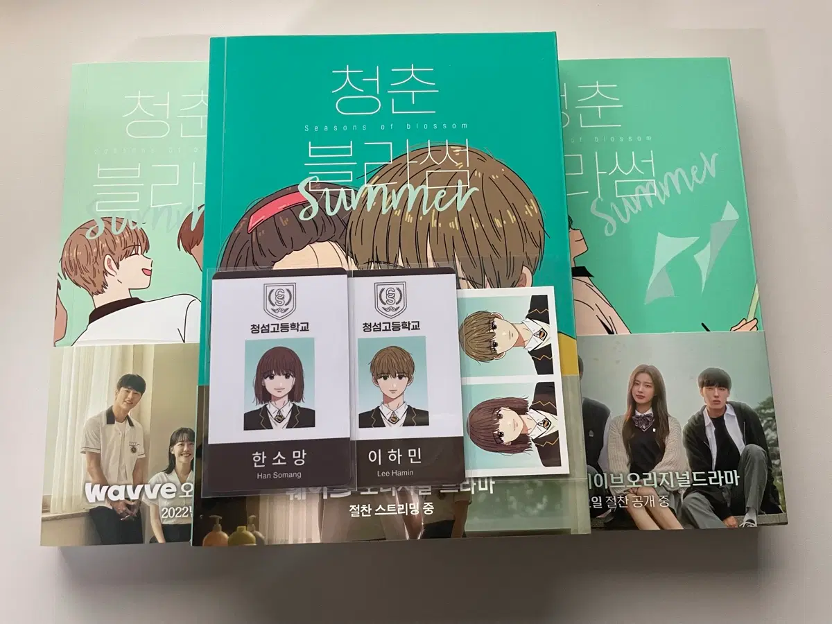 청춘블라썸 여름 4~6권 올초판