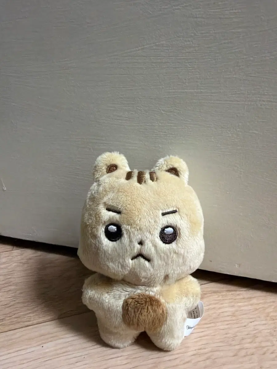 엽톨이 루시 최상엽