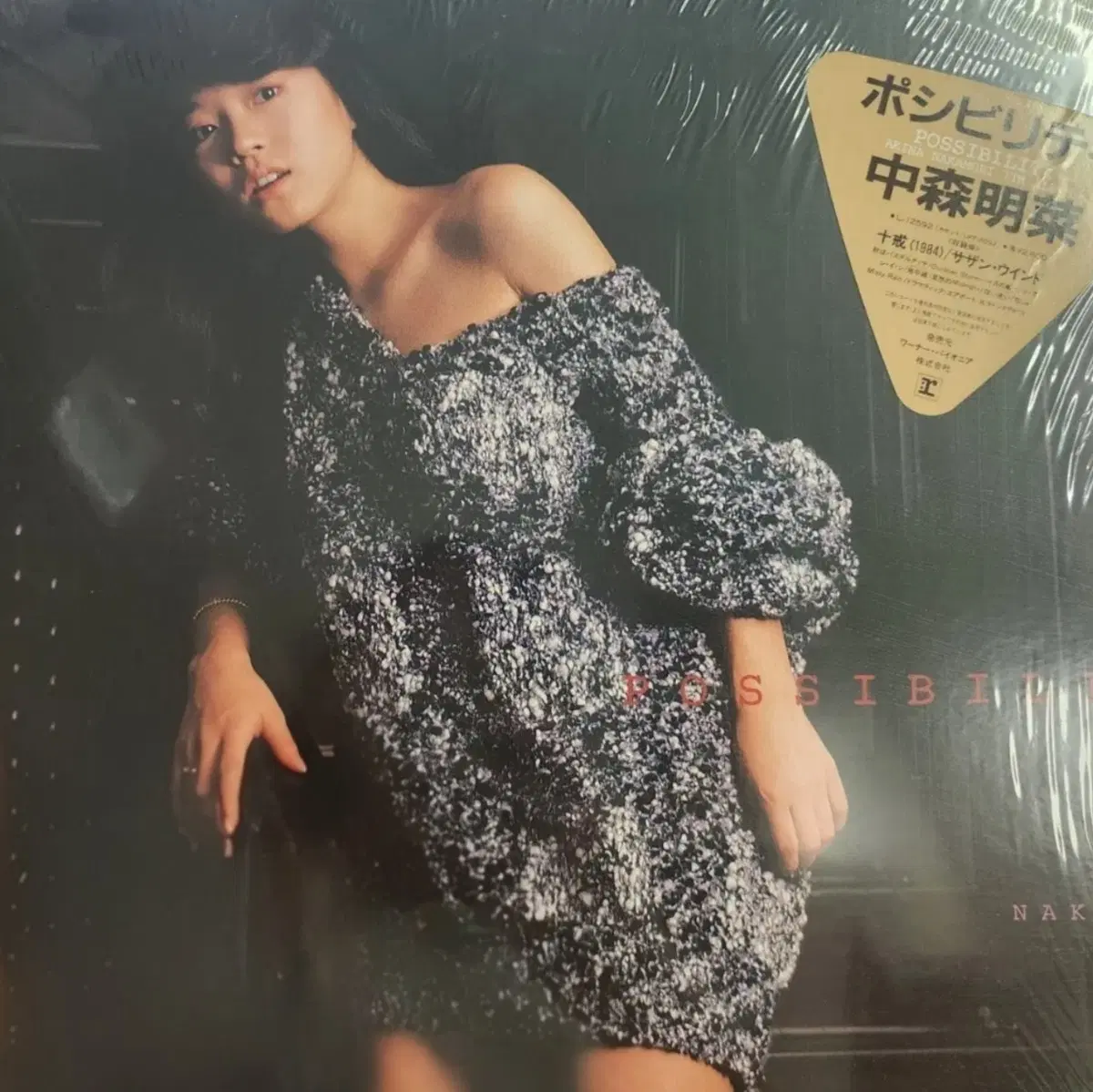추천 나카모리 아키나 Akina Nakamori POSSIBILITY LP