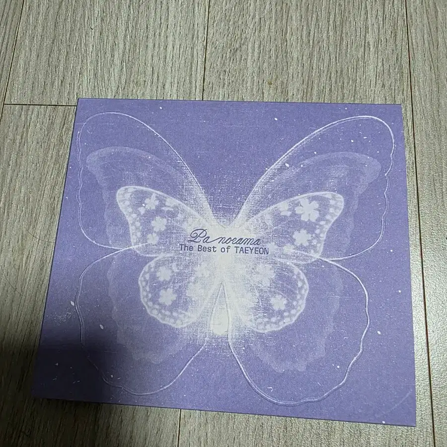 태연 파노라마 디지팩