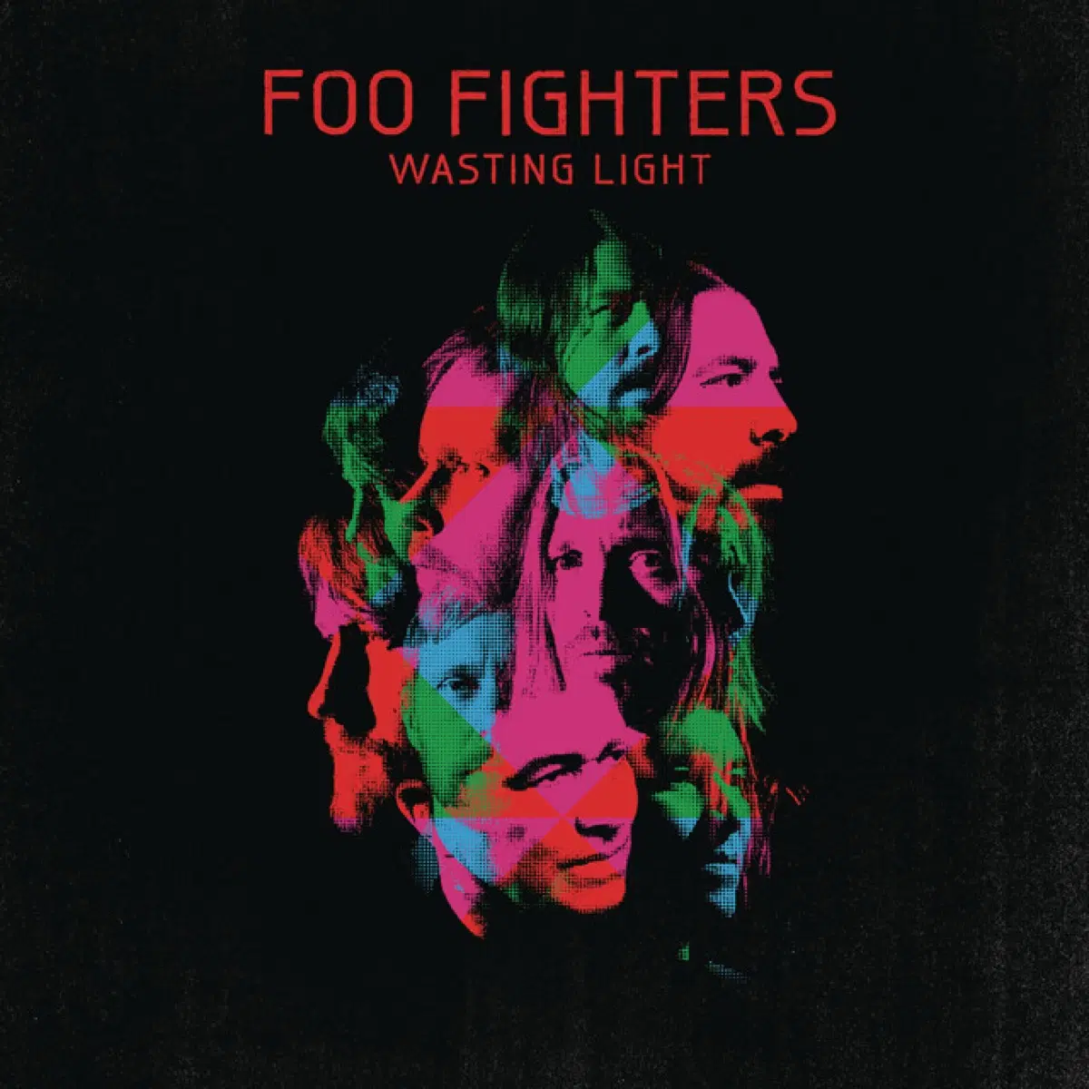 푸 파이터스 Wasting Light 앨범 시디 CD