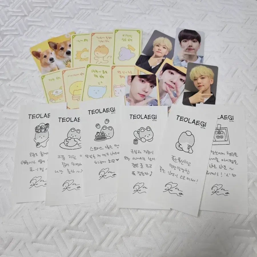 백현 터래기 포토카드 + 손글씨 운세 영수증
