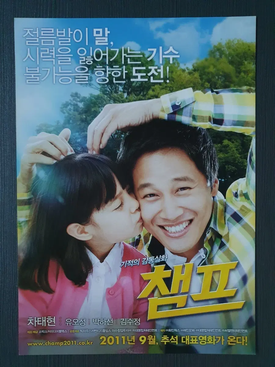 챔프 영화 전단지 팜플렛 A4 차태현