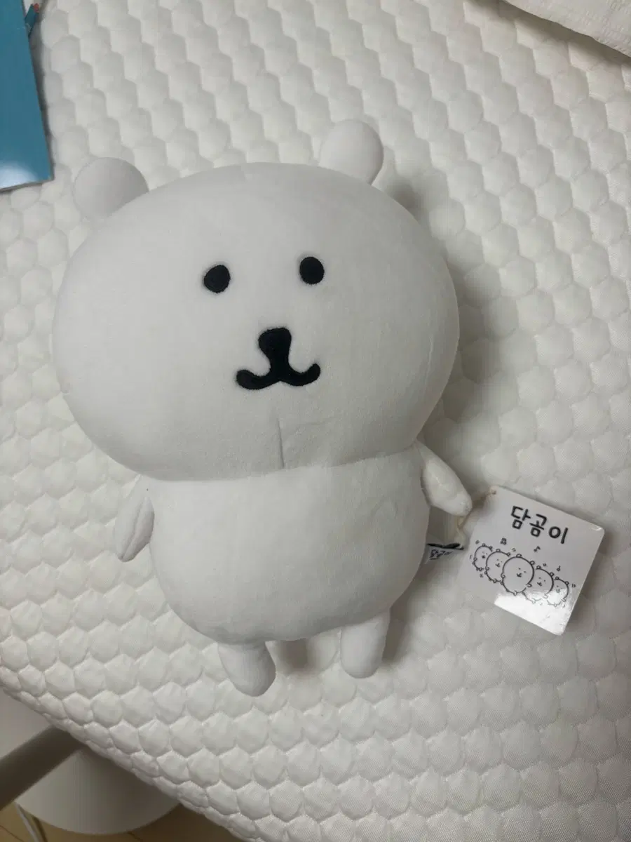 농담곰 인형 M