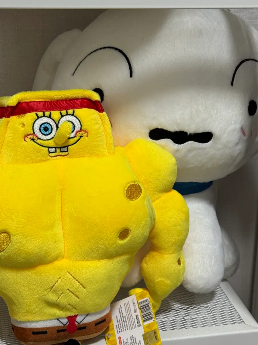 근육 스폰지밥, 대왕흰둥이