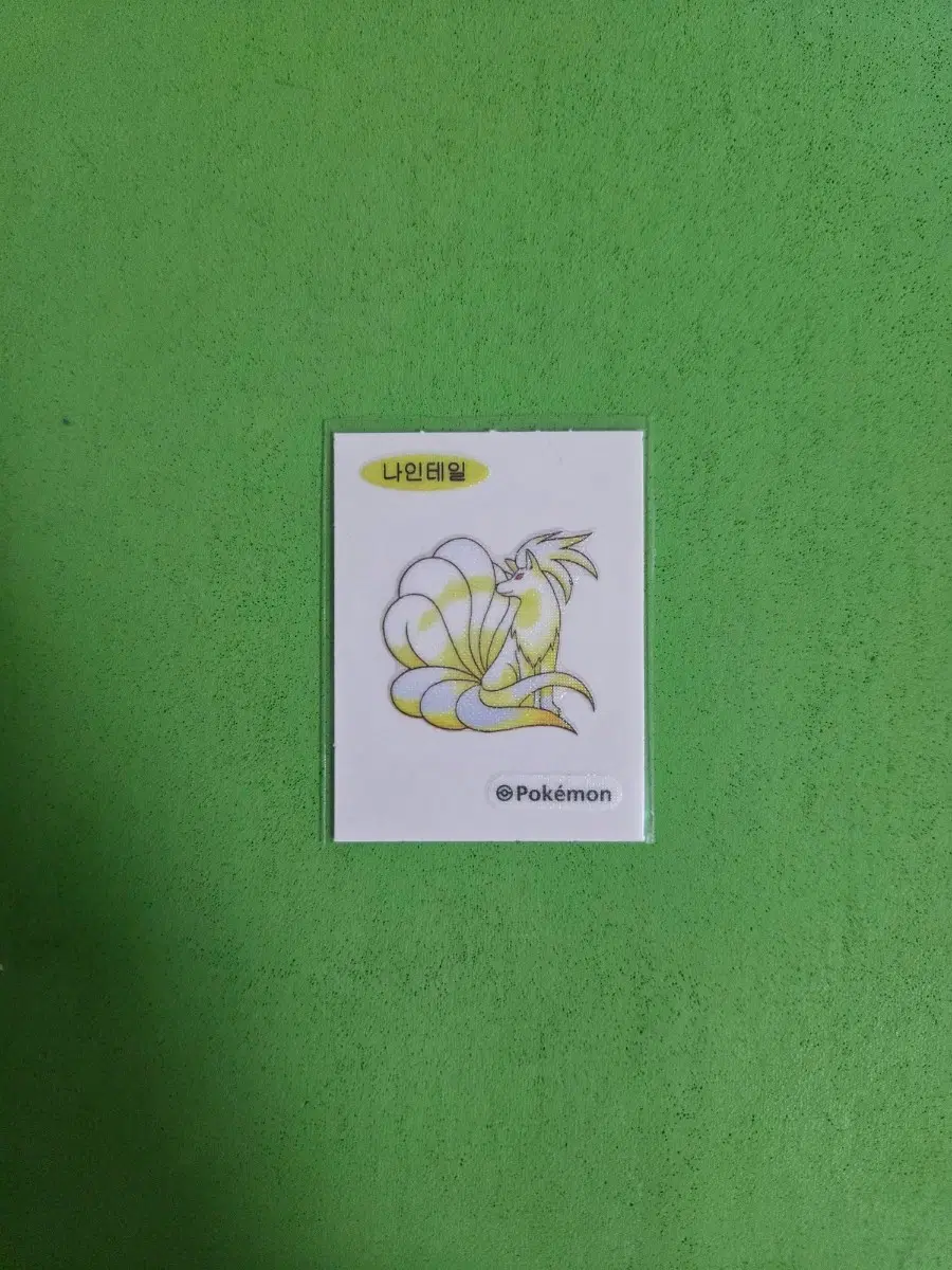 나인테일 띠부실