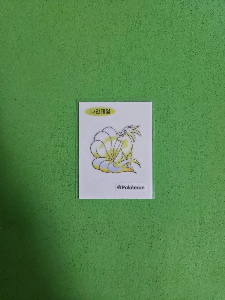 나인케일 띠부실